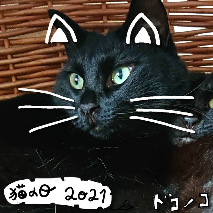 4a7a56ee 6a74 4e1d bb78 ff1814200087 1613980148966