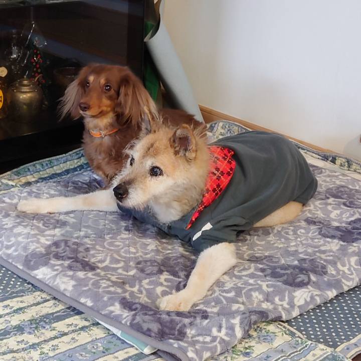 4a7a59ce 30c5 4a39 964f 6c6bacb8b1d9 1648084364599