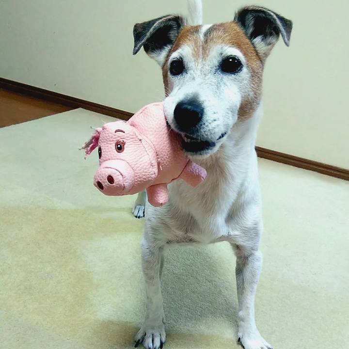 4a7a85e1 f3c6 41a1 b7ce 38be87762cda 1536414027749