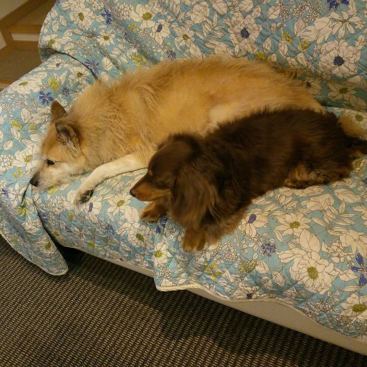 4a7a89b5 d949 4b74 a1a2 cbe69c5ce612 1520604947878