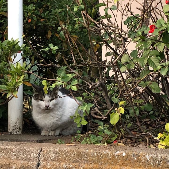 4a7ac088 5c93 4d2b bdab 05465b994061 1544461233423