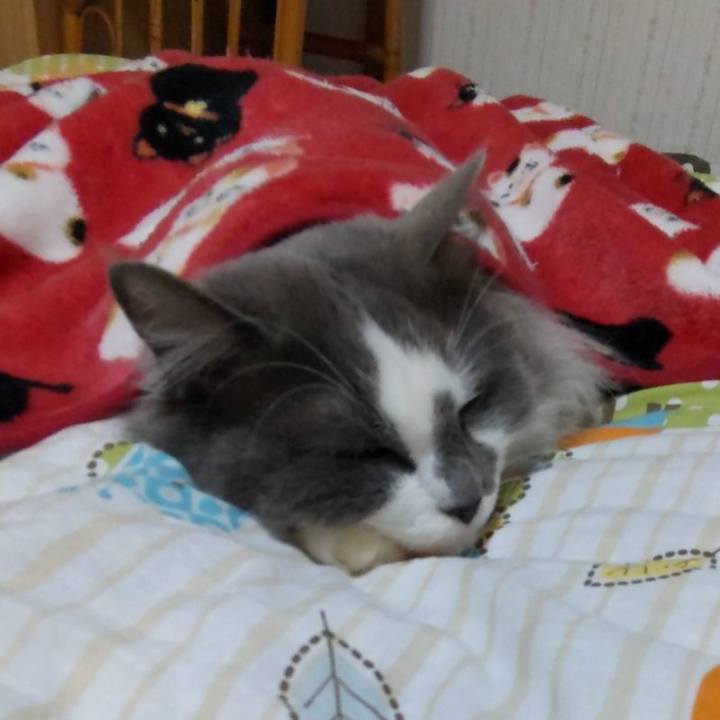 4a7af5a1 0040 4b26 abac 353fd2463cac 1649420224842