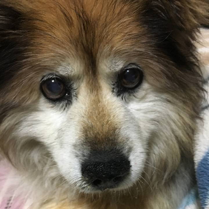 4a7b7ba6 d18b 4d52 a2b9 7c089bc88223 1616675717055