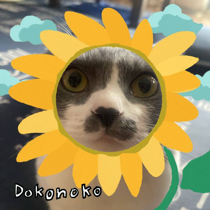 4a7bd04d b552 44f7 ac24 5bf599cc942d 1723200645025