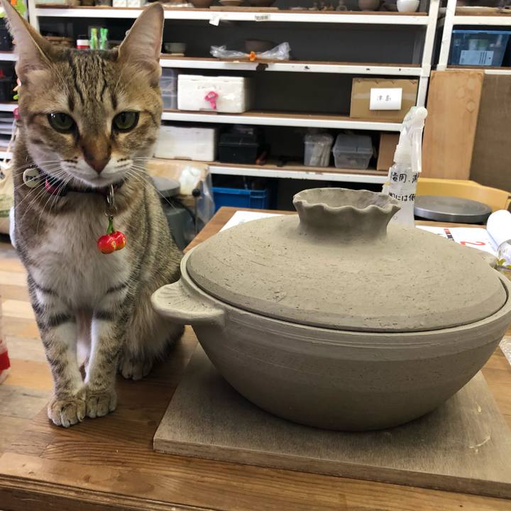 4a7bea4d 7a72 440b 8703 1185d45263e7 1611722300009