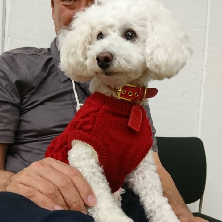 4a7beae2 58e9 42ad bea6 31e05f1594d2 1542085907269