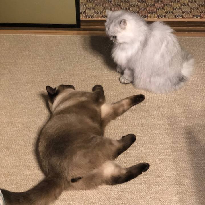 4a7c8ae2 1b84 44cb be79 438f4ceefea6 1607081457244