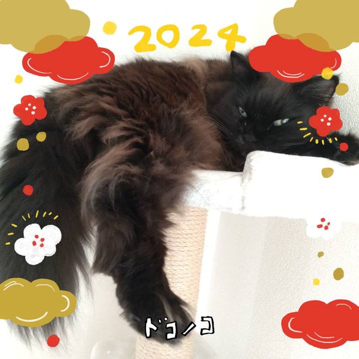 4a7c9140 c8ac 4e36 89d0 4d69d6697539 1704076209091