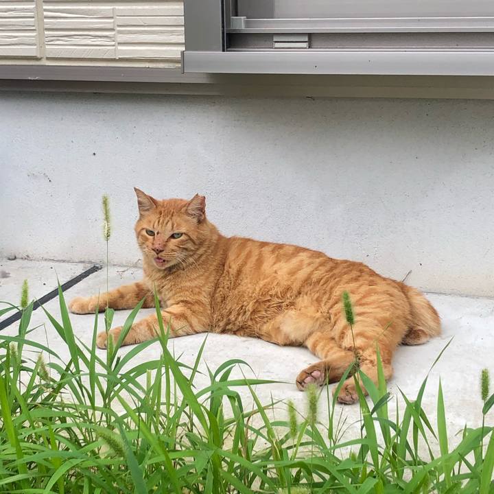 4a7ca302 7ff8 4a45 98b4 529b26737197 1599966660746