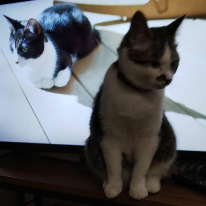 4a7cb80d 1abe 4088 8125 dbf4bb54d2cc 1619182168646