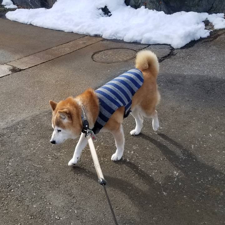 4a7cd415 8b6d 44e0 937b 0956cee8327d 1703478185756