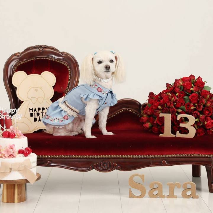 4a7ce4e9 d029 4182 aa3c 67d1a799901a 1774366081947