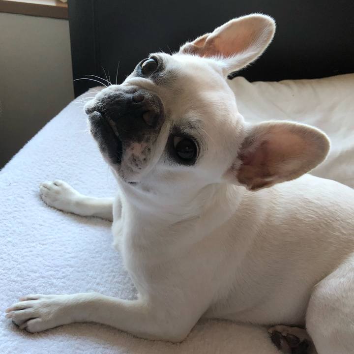 4a7d308d efed 457c 89e8 40d74070072b 1604469222926