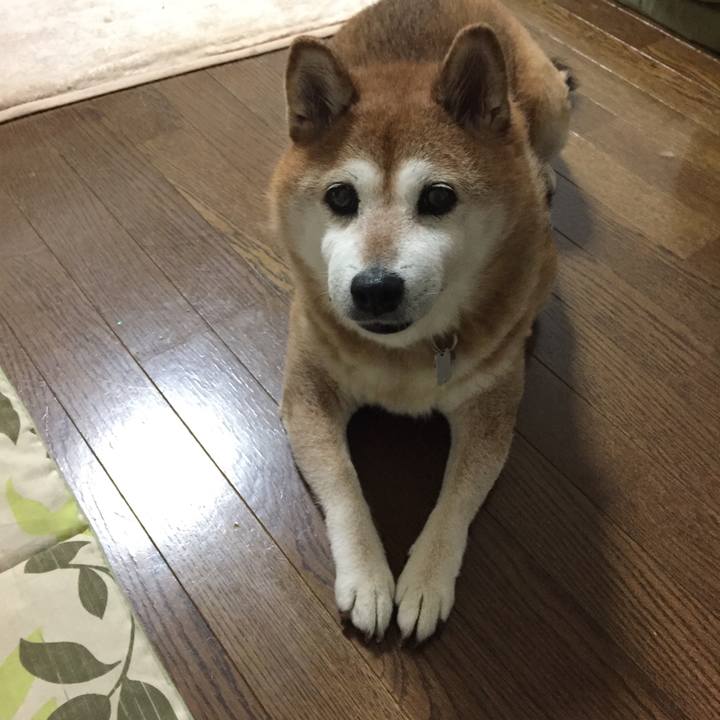 4a7d3bab 824b 426a b763 8ae081eba009 1531231523895