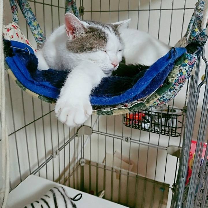 4a7d3e27 f137 467b a604 4ab7e0ee2340 1508646120841