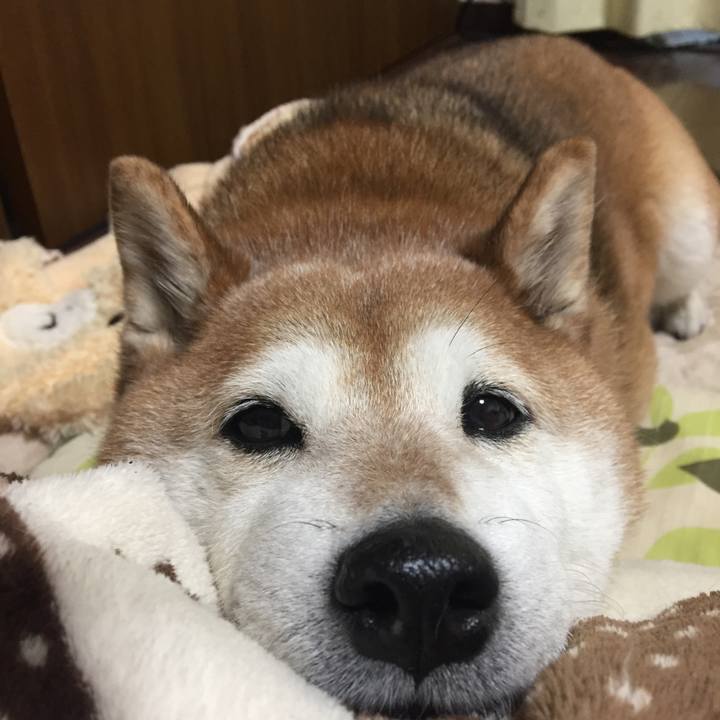 4a7d870f ef70 4c44 bace 11b850647233 1517126505403