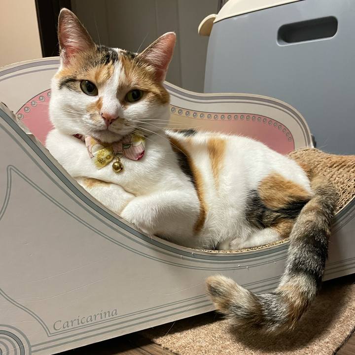 4a7d9dd8 ffda 4e34 a426 c90547e9487d 1626958203403