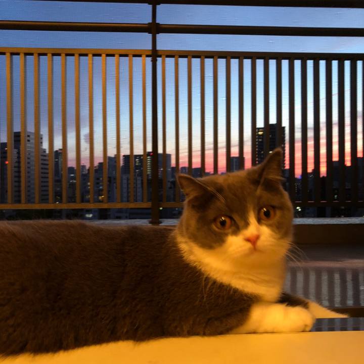 4a7da277 d787 41a0 a31f cefa82c1a982 1529836473697