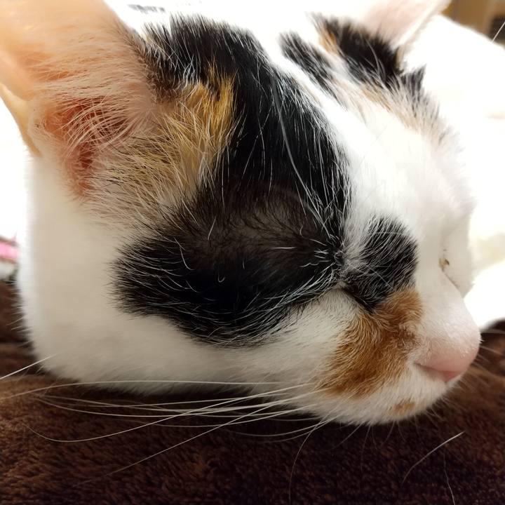 4a7daf16 3601 4814 9294 50fbffc9307d 1584628717033