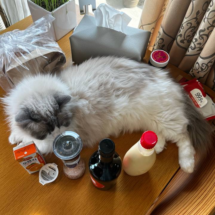 4a7dbac3 1531 407e 8010 af86981d2a42 1653701456534