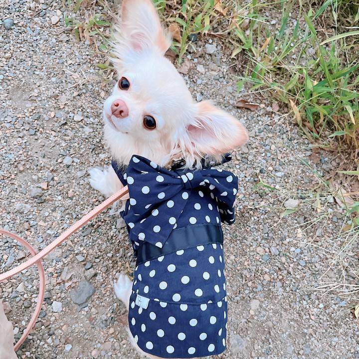 4a7dd8da 0476 4480 8404 e5f235dce075 1664360834307