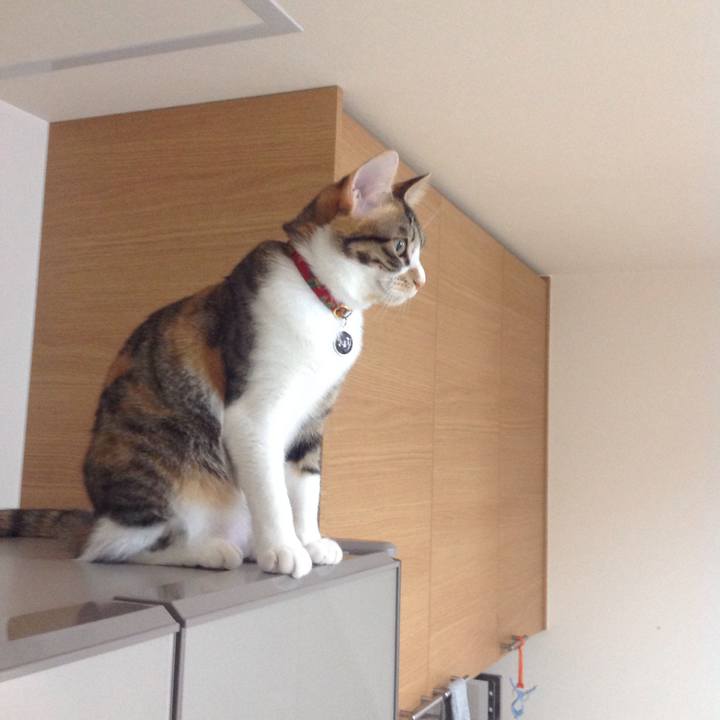 4a7dea07 e01c 4a03 876a 6564224cd6d4 1642199967026