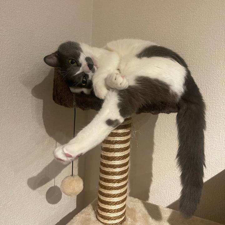 4a7e1d94 d5a6 47ca 950f 1ed28da104df 1691509597064