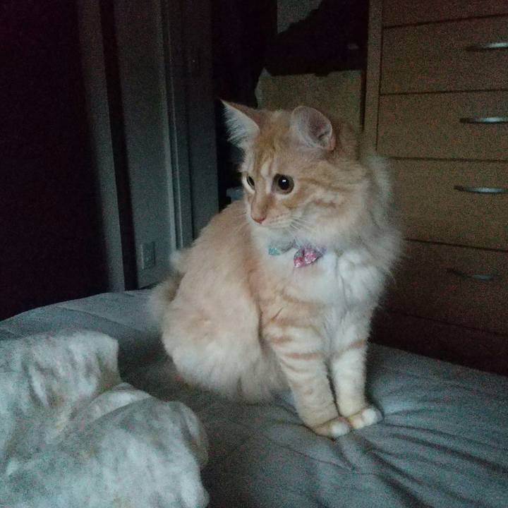 4a7e8105 cdea 49e1 a3b1 e43674faf33f 1630446550326