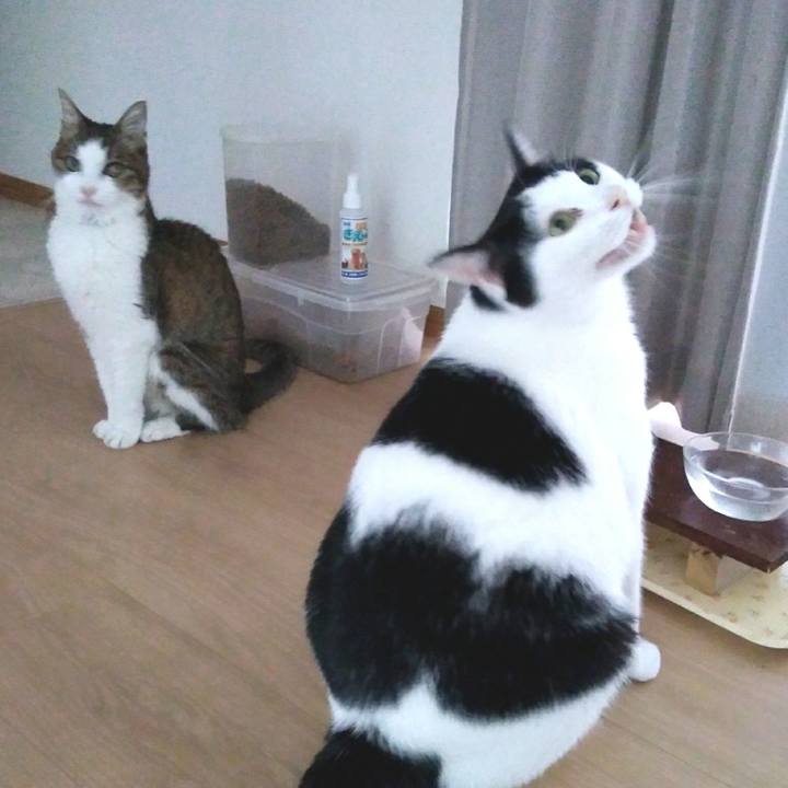 4a7e97cf 28e6 43fb 88d6 f3894f4d7f2d 1556106759207