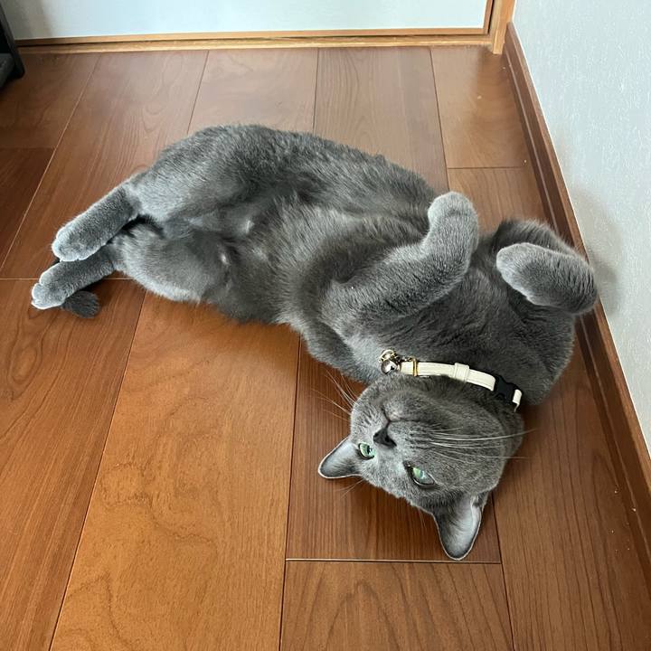 4a7e9e72 2a48 4f1d 9ea3 42d85a9c5ce2 1689308732520