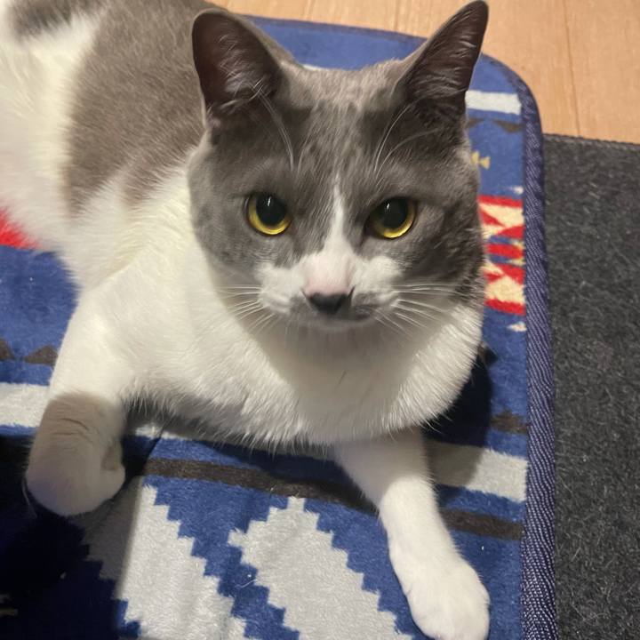 4a7ec271 dd40 4e71 9a37 397c54d49252 1644919446607