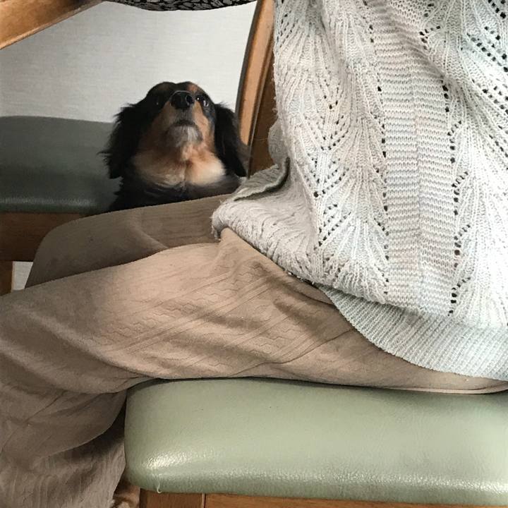 4a7ec322 adac 4d89 9363 c5862078afab 1537394605503