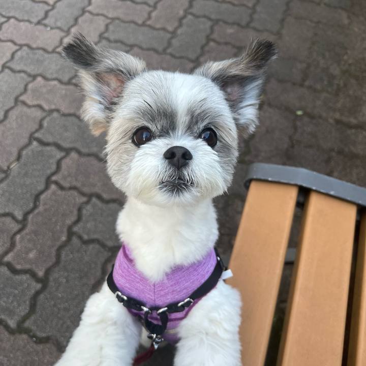 4a7ed2c8 becf 498b 9ac9 fb8873fb25ab 1751534727026