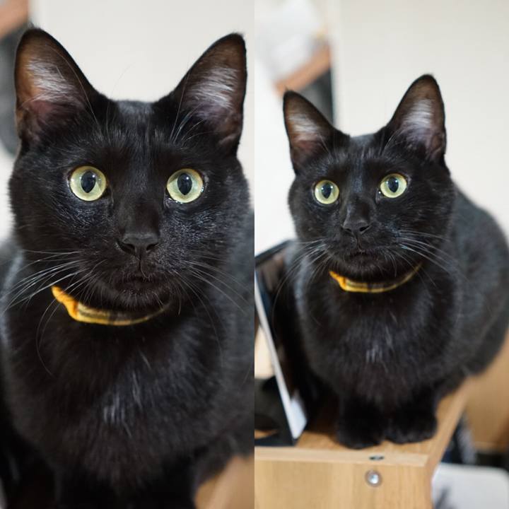 4a7edfc6 73ec 4168 9eda 8c004006fbd2 1547210974177