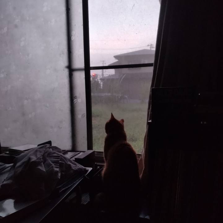 4a7efb1c a1c7 4f35 acb9 2b547b50d13e 1725576181524