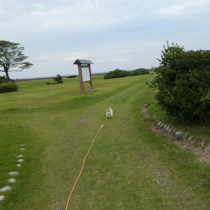 4a7f11a8 9175 40f1 81c8 3df1ac4b5a4b 1601804950641