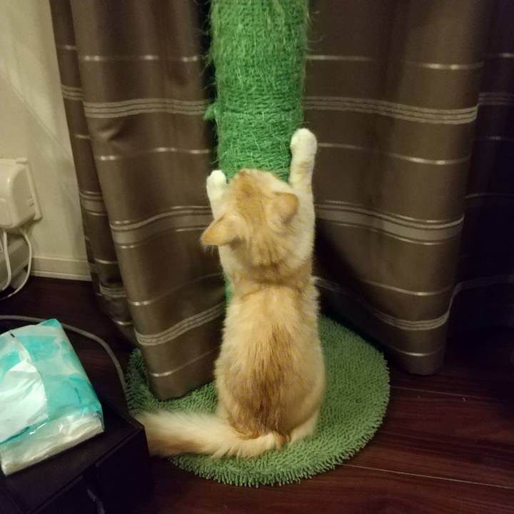 4a7f2fb0 67c3 455a 99e8 1272cb317f21 1609106206748