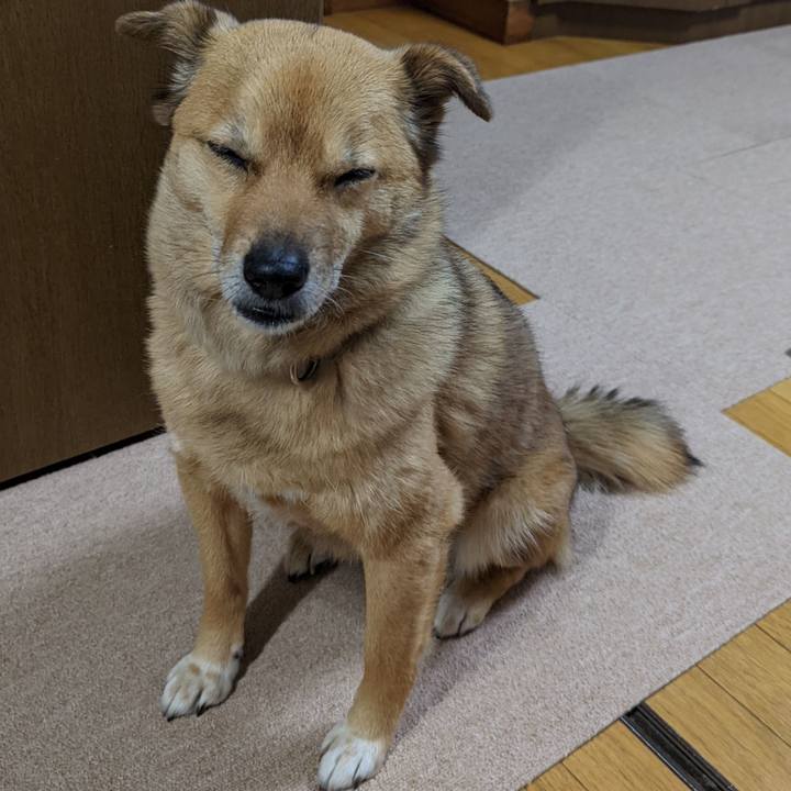 4a7f422d 2273 49c1 997e 4259c5fbebfc 1653225317390