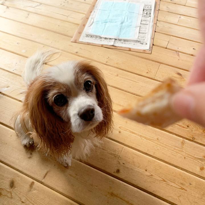 4a7f7c44 9e4e 4376 a63f 51e525c47016 1582772179744