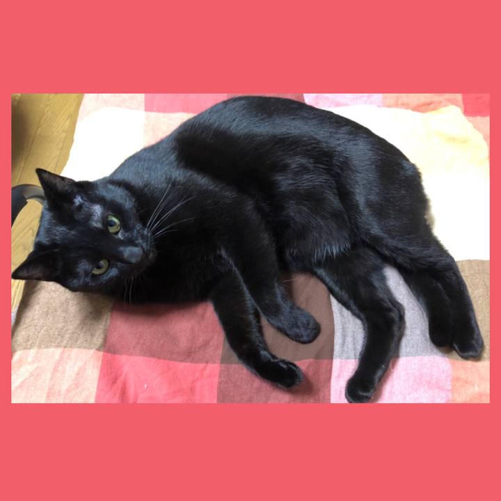 4a7f997c 10a9 4f39 a556 4ffb9a89996a 1707920420918