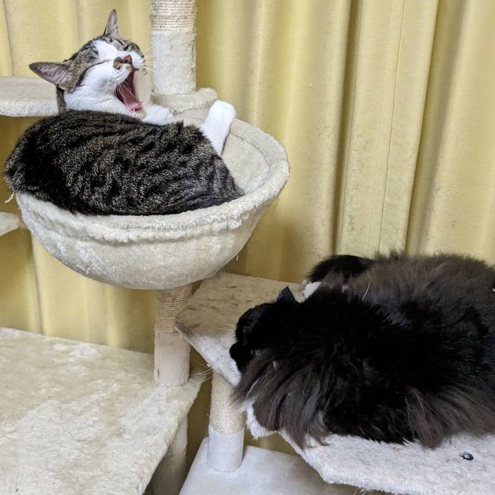 4a8034a0 0b69 4a6c a2ab df887fac3183 1695889484667