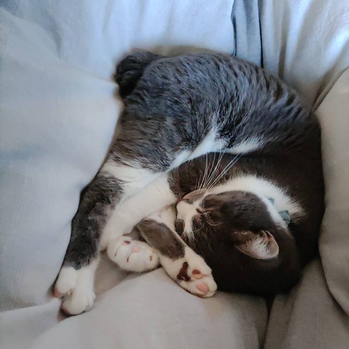 4a80476a 63a3 4ed7 a64d 0f4637845f1d 1674006515339