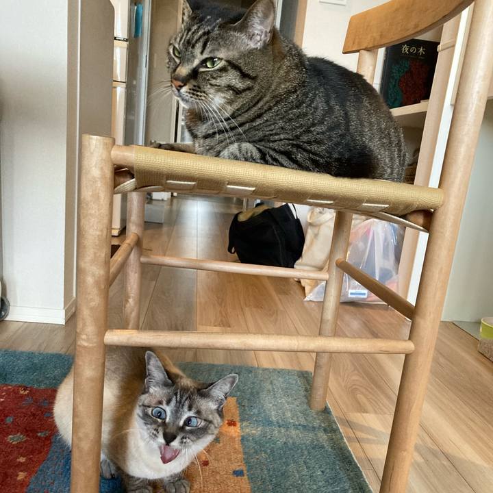 4a807f3a 4c23 44d3 b0bb b815483391b0 1618728933662