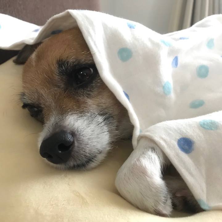 4a808d3e 87a9 4c0b a06f 712e0bc45448 1508273195790