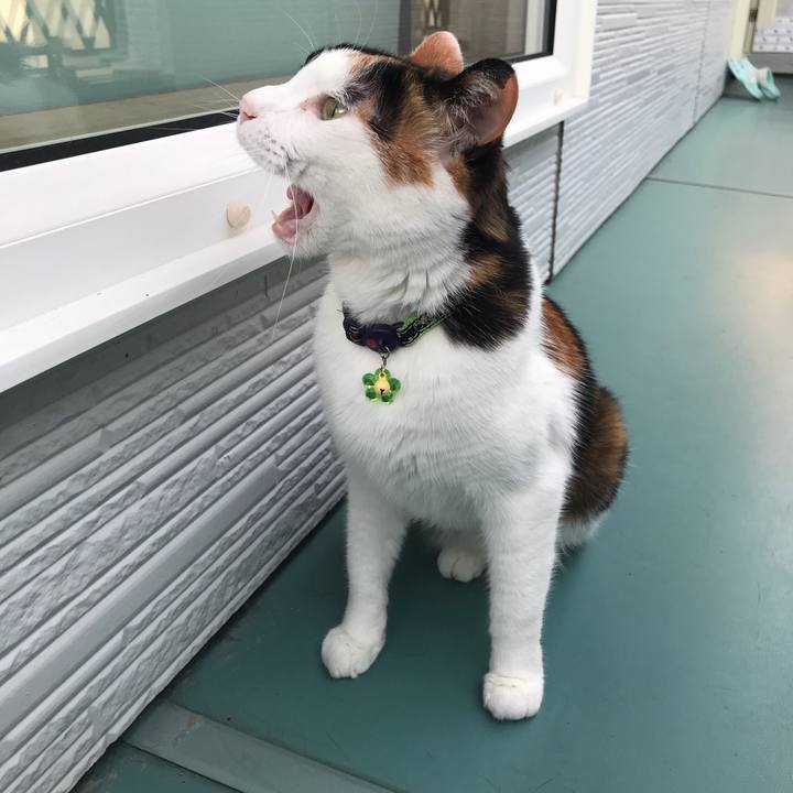 4a8091a9 e846 4381 a6f3 70b1d94036df 1528285603939