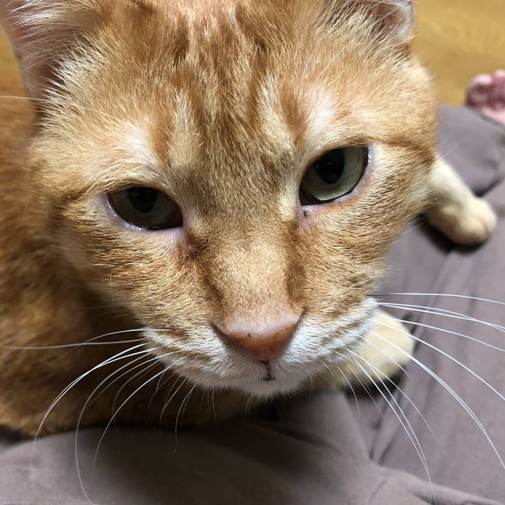 4a80a5f4 41b1 4ca9 8155 9c5ca66c5952 1612884738098