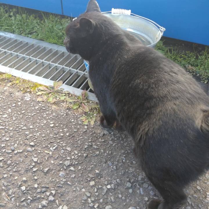 4a80cb6a 004f 443b a4c3 538cf78da673 1733811752694