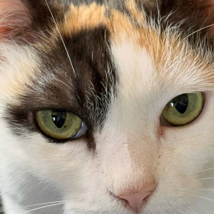 4a80d0a4 65f5 426f a56c 49b858c7d605 1746844509451