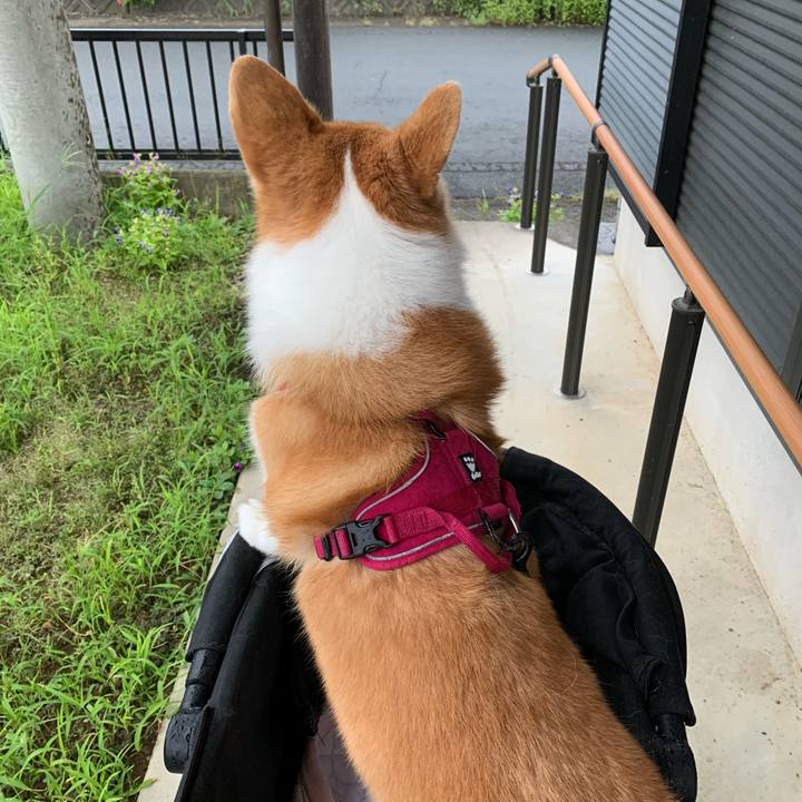 4a80d2ab 2c0e 46ca 82d3 d0ab8d5caad3 1630448188300