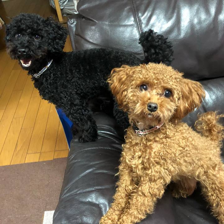 4a80fb5d c40a 4f31 af26 7863bc49fd65 1511129136662